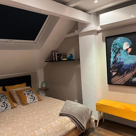 Charmant Duplex Privatise, Climatise, 2 Chambres Strasbourg Luaran gambar
