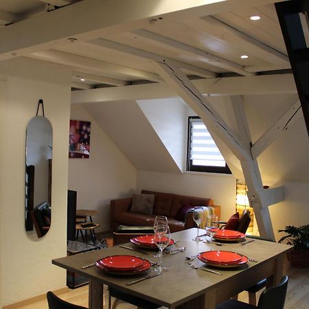 Charmant Duplex Privatise, Climatise, 2 Chambres Strasbourg Luaran gambar