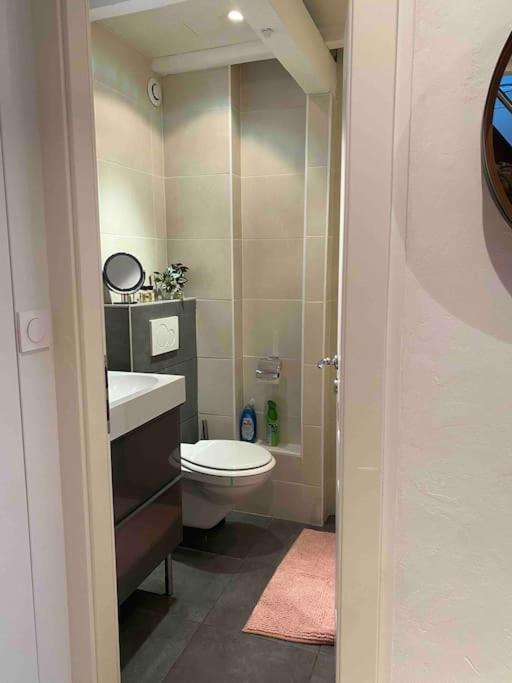 Charmant Duplex Privatise, Climatise, 2 Chambres Strasbourg Luaran gambar