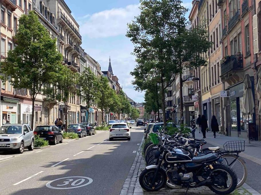 Charmant Duplex Privatise, Climatise, 2 Chambres Strasbourg Luaran gambar