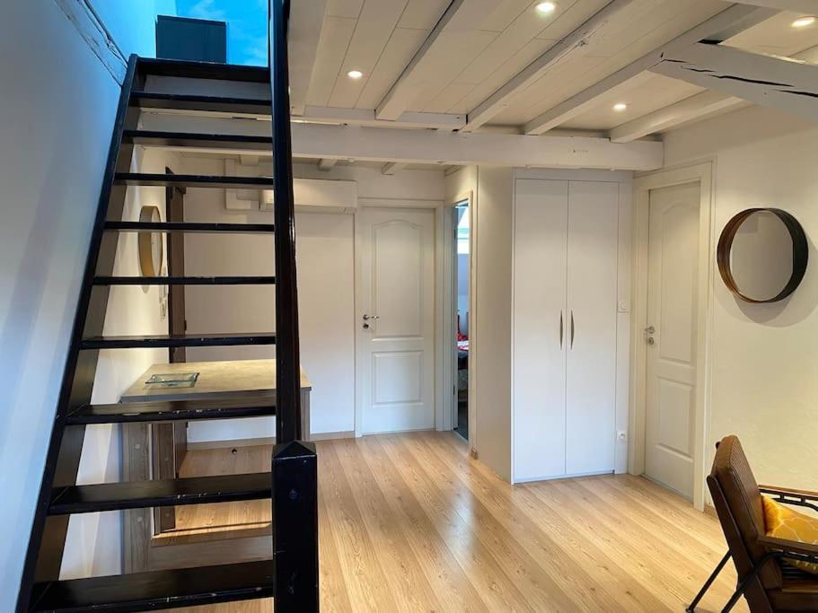 Charmant Duplex Privatise, Climatise, 2 Chambres Strasbourg Luaran gambar