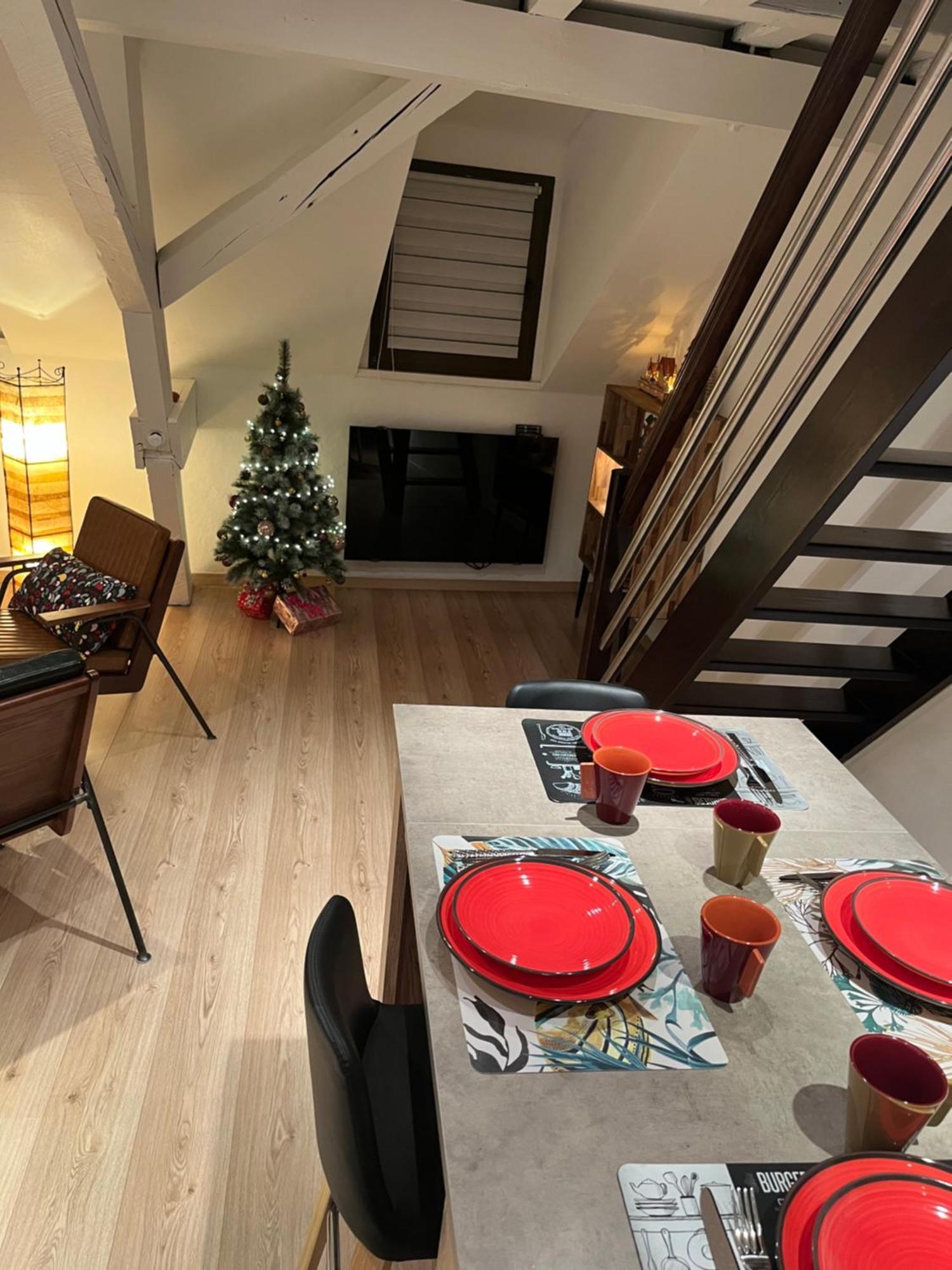 Charmant Duplex Privatise, Climatise, 2 Chambres Strasbourg Luaran gambar