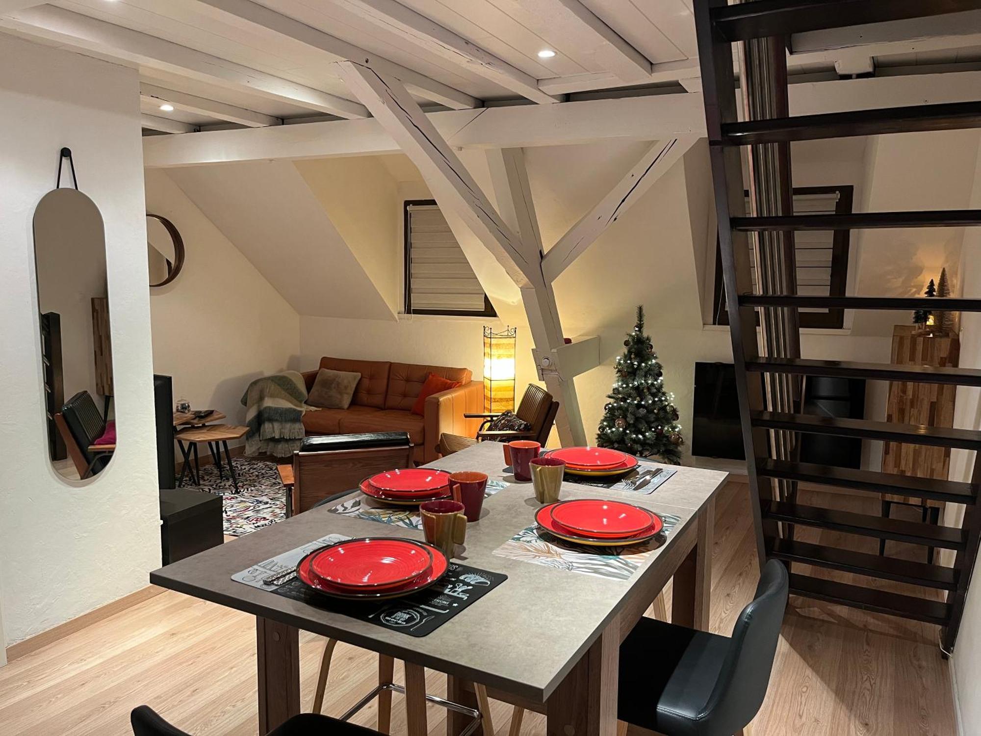 Charmant Duplex Privatise, Climatise, 2 Chambres Strasbourg Luaran gambar