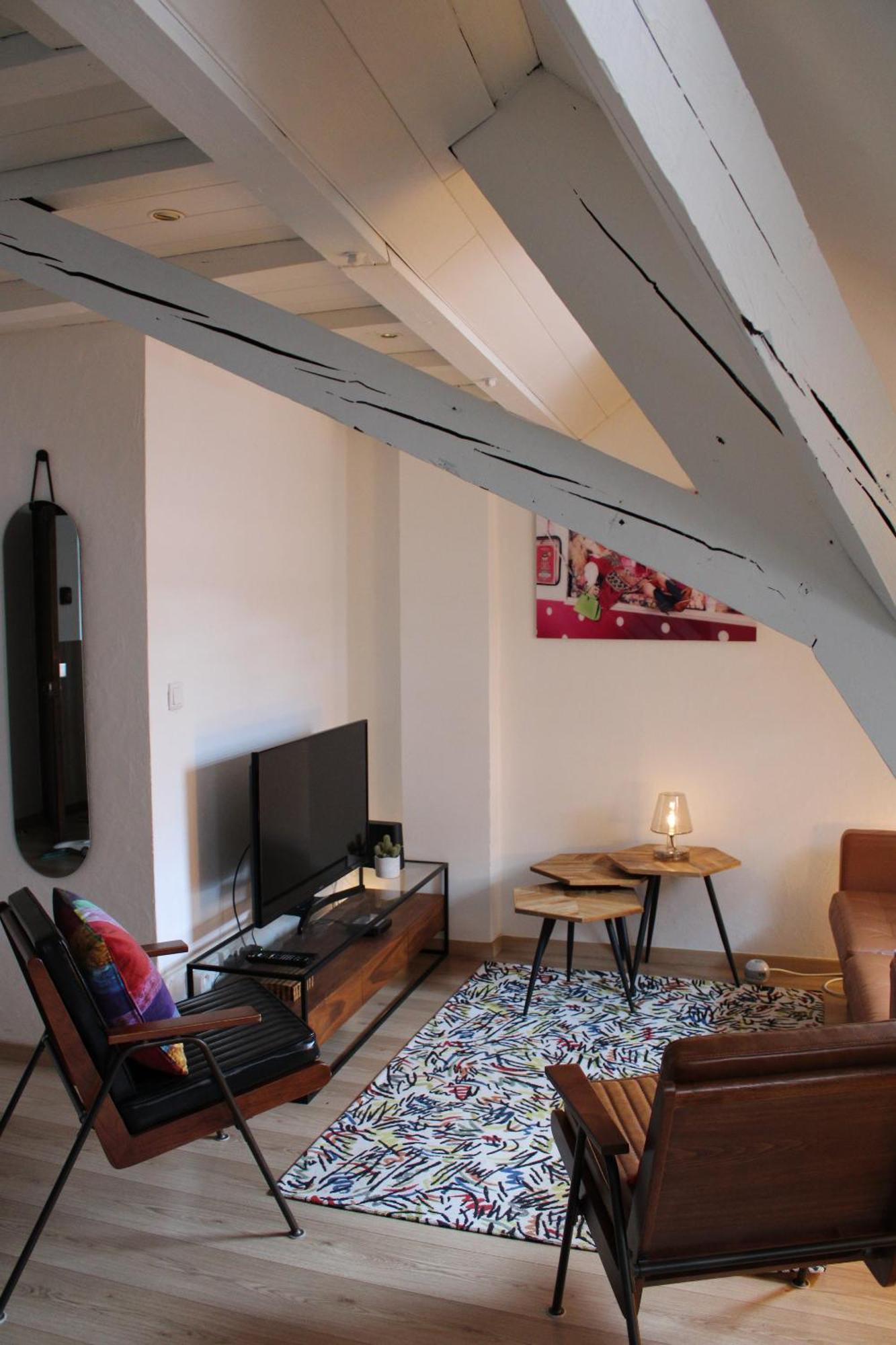 Charmant Duplex Privatise, Climatise, 2 Chambres Strasbourg Luaran gambar